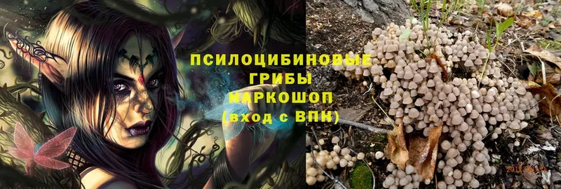 гидра ONION  Верхняя Пышма  Галлюциногенные грибы MAGIC MUSHROOMS 